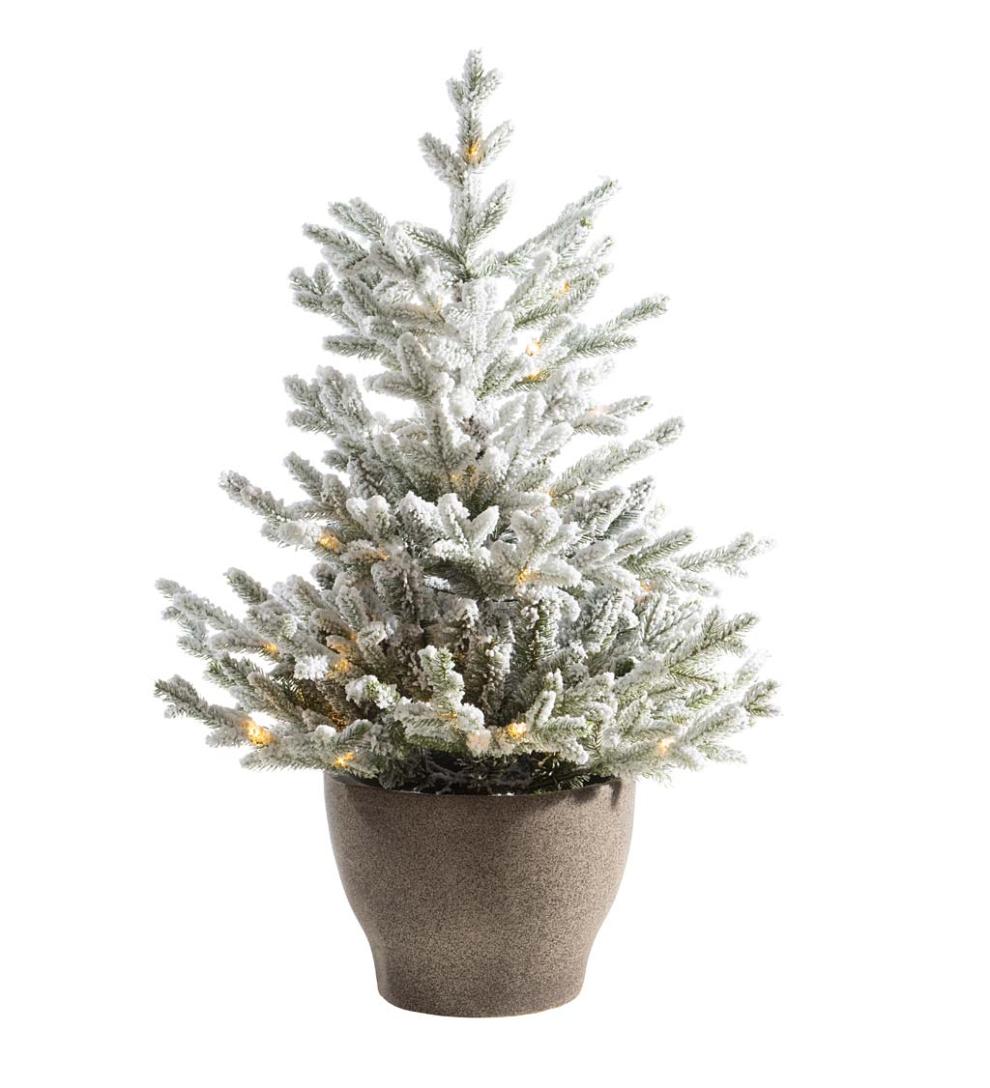 Plow & Hearth Home Accents Indoor Living Lighted Potted Snow-Dusted Norway Spruce
