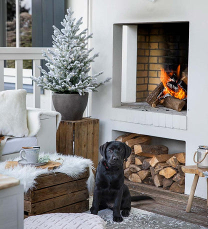 Plow & Hearth Home Accents Indoor Living Lighted Potted Snow-Dusted Norway Spruce