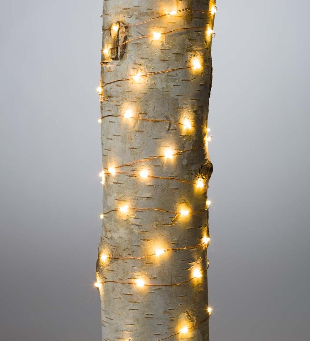 Plow & Hearth Home Accents Indoor Living String Lights With 60 Warm White Leds On Copper Wire