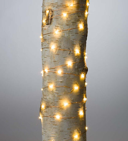 Plow & Hearth Home Accents Indoor Living String Lights With 60 Warm White Leds On Copper Wire