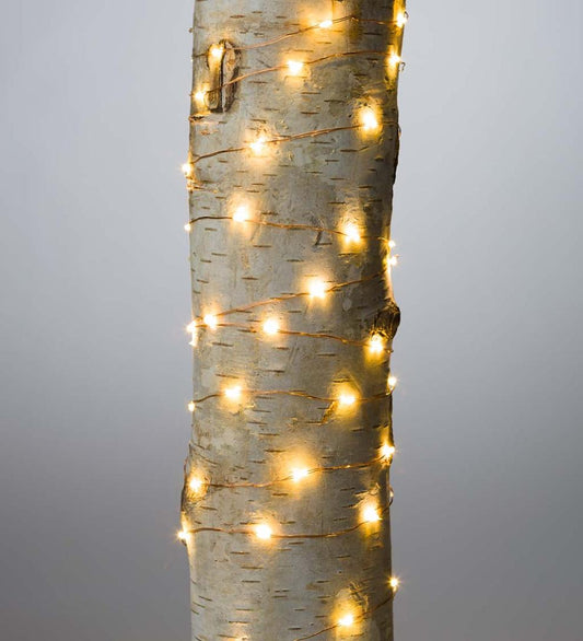 Plow & Hearth Home Accents Indoor Living String Lights With 60 Warm White Leds On Copper Wire