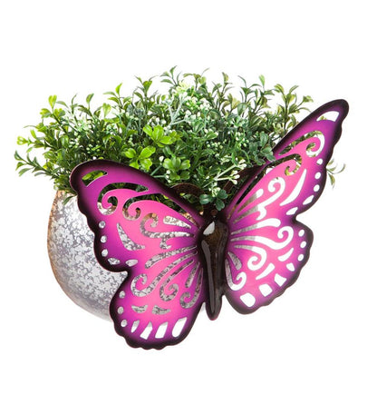 Plow & Hearth Home Accents Indoor Living Wall Mounted Butterfly Planter - Purple