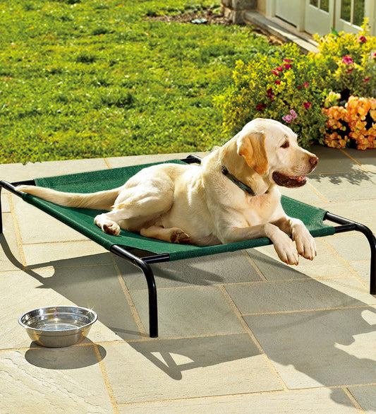 Plow & Hearth Home Accents Indoor Living Weather-Resistant Raised Mesh Pet Bed And Replacement Mesh Covers