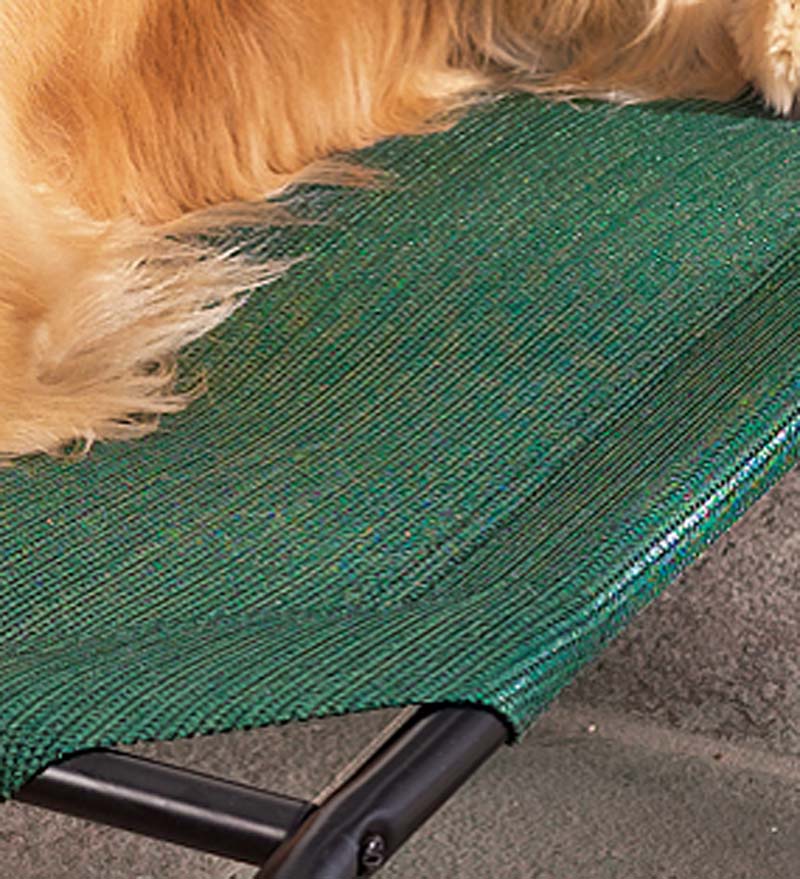 Plow & Hearth Home Accents Indoor Living Weather-Resistant Raised Mesh Pet Bed And Replacement Mesh Covers