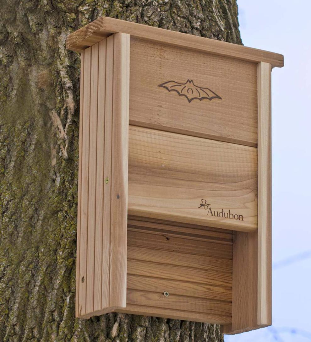 Plow & Hearth Wildlife Housing Yard & Garden Audubon® Bat Shelter