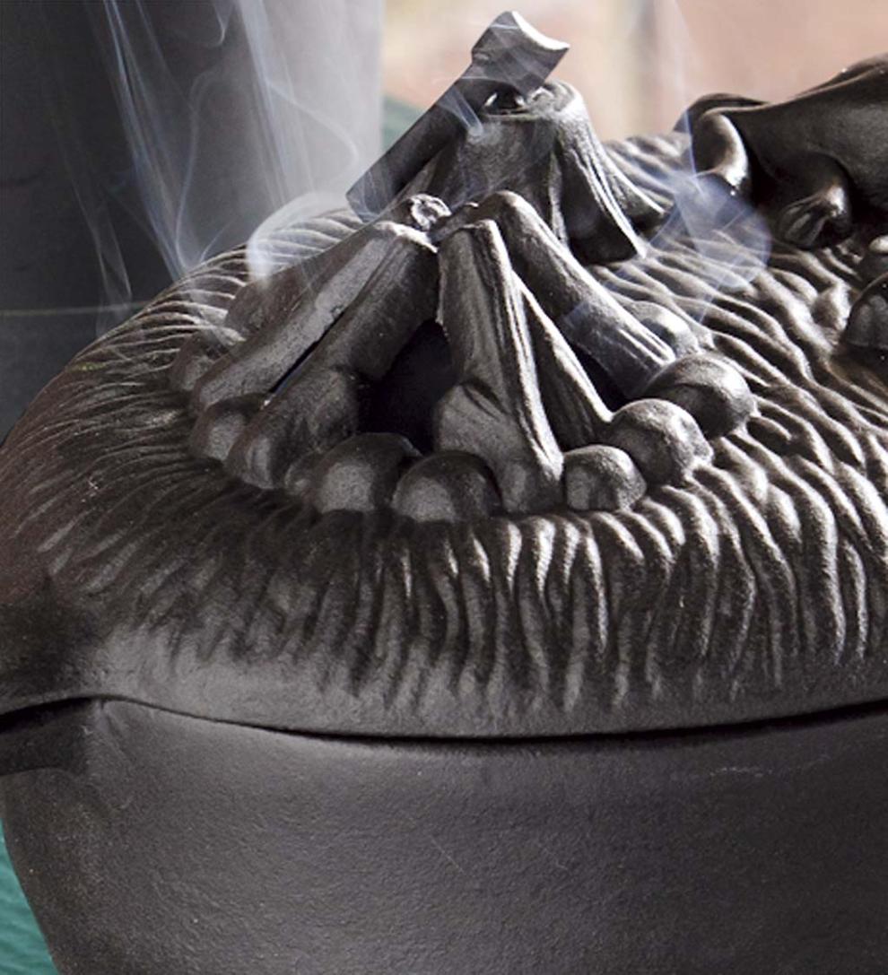 Plow & Hearth Wood Stove Accessories Fireplace & Hearth Cast Iron Dog Wood Stove Steamer - Black