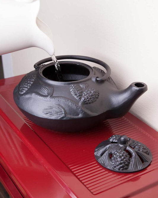 Plow & Hearth Wood Stove Accessories Fireplace & Hearth Cast Iron Wood Stove Kettle Steamer With Pine Cone Design - Black