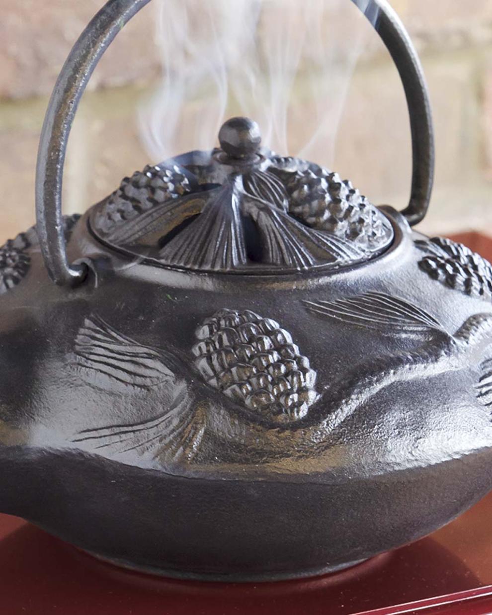 Plow & Hearth Wood Stove Accessories Fireplace & Hearth Cast Iron Wood Stove Kettle Steamer With Pine Cone Design - Black
