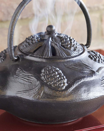 Plow & Hearth Wood Stove Accessories Fireplace & Hearth Cast Iron Wood Stove Kettle Steamer With Pine Cone Design - Black