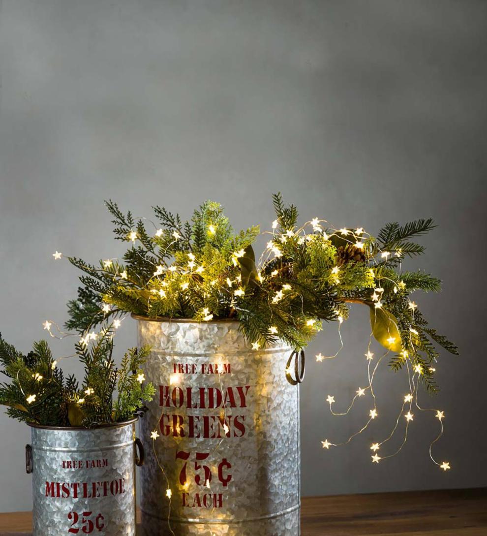 Plow & Hearth Deck & Patio Accents Outdoor Living Electric Bunch Star Lights, 160 Warm White Leds On Bendable Silver Wire, 42"L