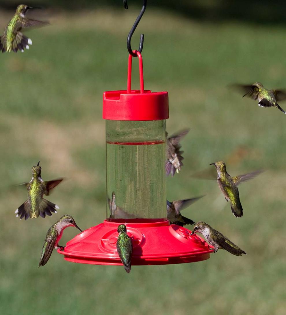 Plow & Hearth Bird Feeders Yard & Garden Dr. Jb'S 16-Ounce Dishwasher-Safe Hummingbird Feeder With Window Hanger